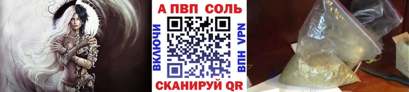 A PVP СК  Вологда 