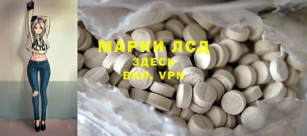 дживик Осинники