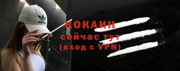 дживик Осинники