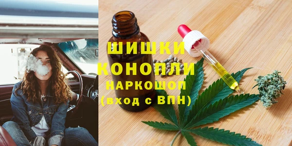 дживик Осинники