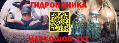 apvp Ипатово