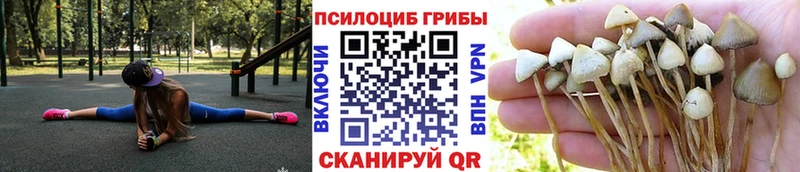 Псилоцибиновые грибы ЛСД Вологда