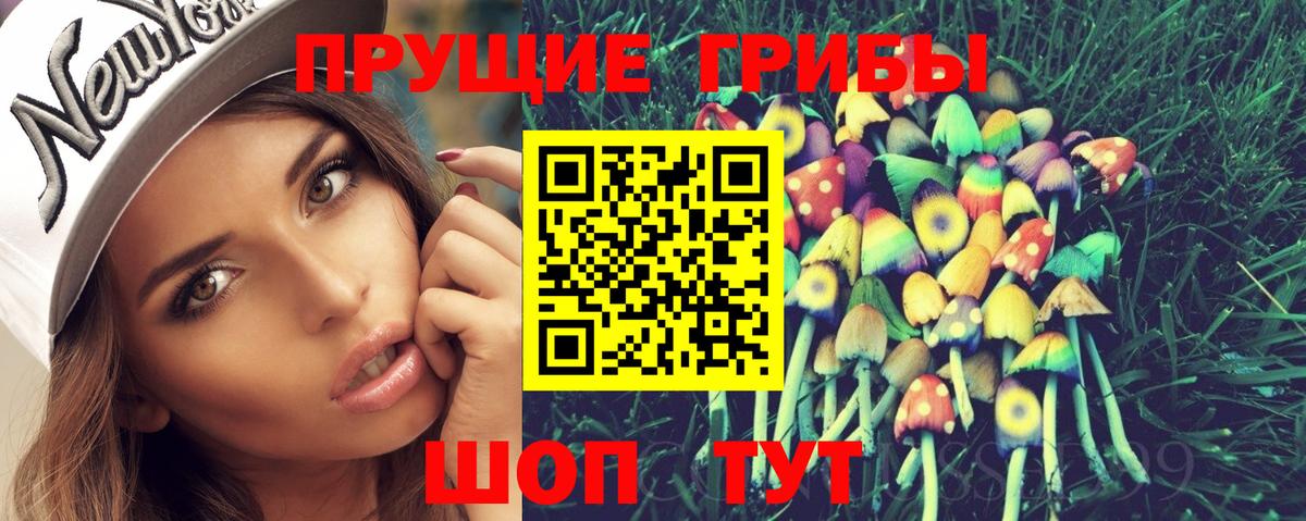 Галлюциногенные грибы прущие грибы Вологда