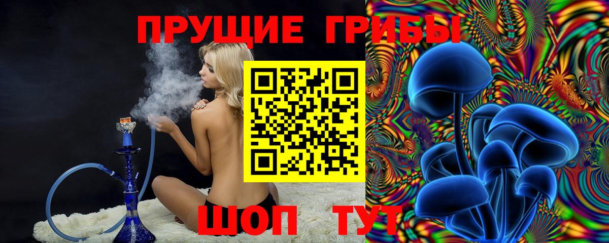 Галлюциногенные грибы MAGIC MUSHROOMS  Вход с VPN  Вологда  Галлюциногенные грибы ЛСД 
